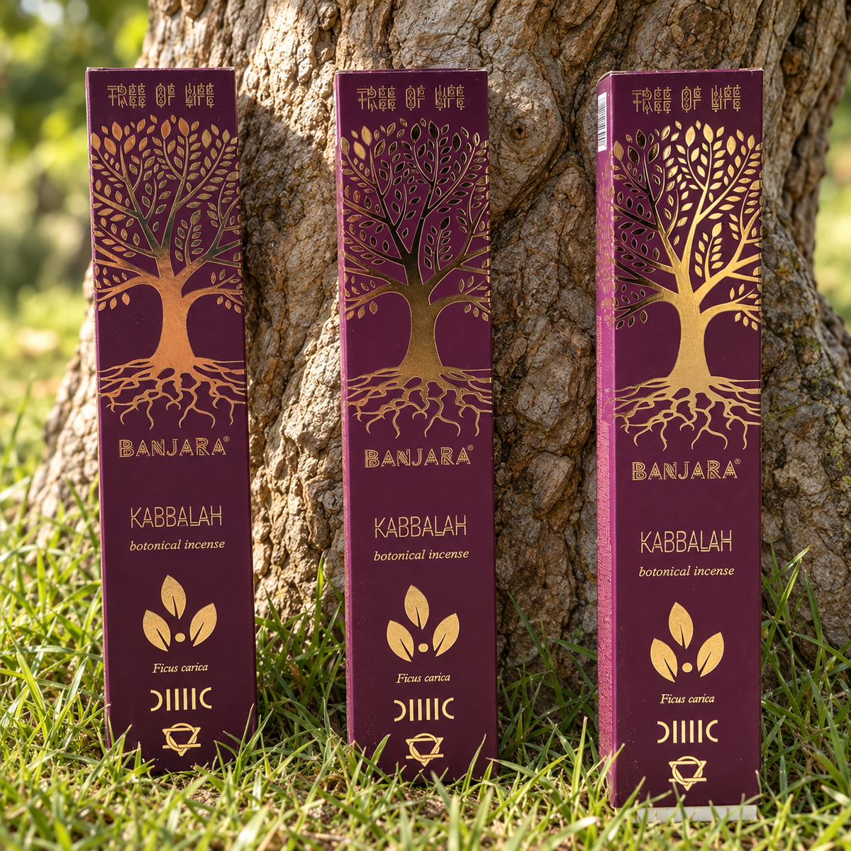 Banjara Kabbalah Botanical Incense with Tree of Life design and frankincense and myrrh fragrance